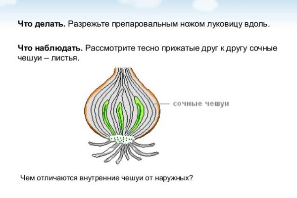 Кракен зеркало рабочее на сегодня