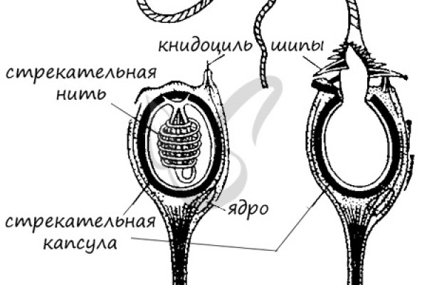 Onion ссылки даркнет