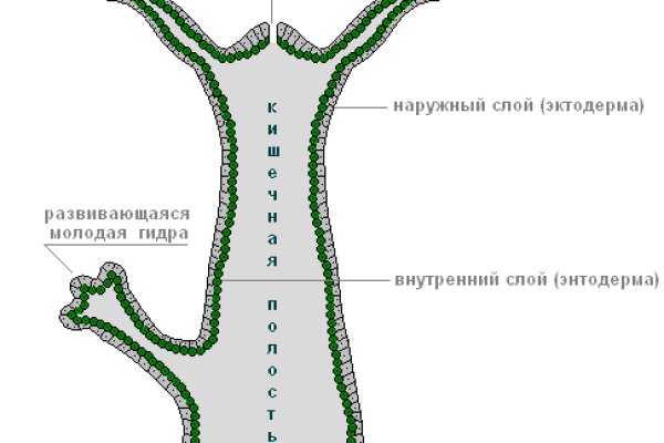 Ссылки на даркнет