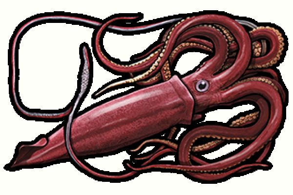 Kraken onion telegraph